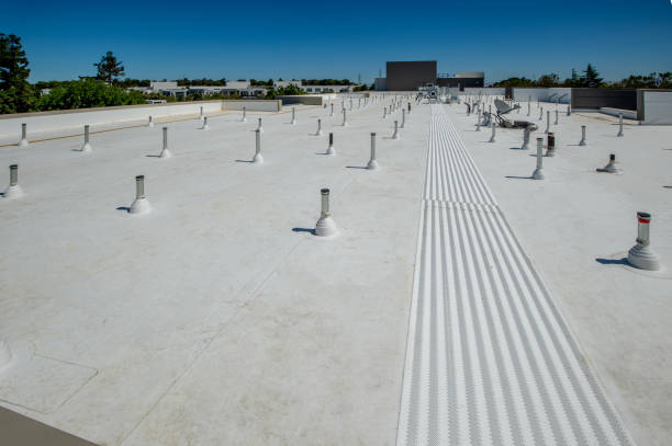 Roof Coating Services in Morrice, MI